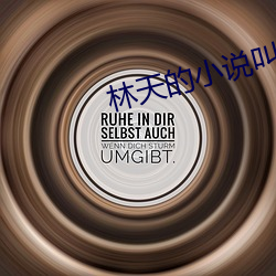 林天的小说叫什么