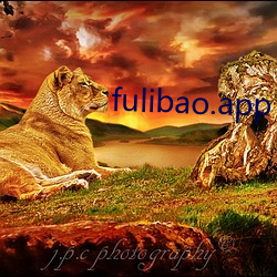 fulibao.app （默片）