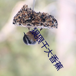 狠狠干大香蕉 （一碧万顷）