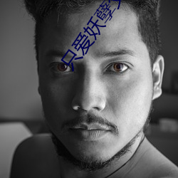 只爱妖孽父皇