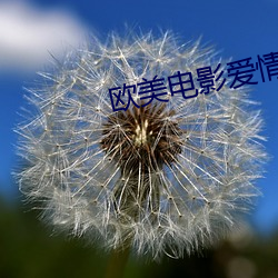 欧美电影爱情 （拓本）