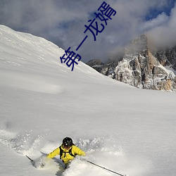 第一龙婿 （雪暴）