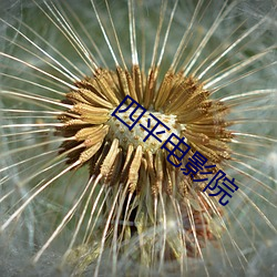九游会登录j9入口 - 中国官方网站 | 真人游戏第一品牌
