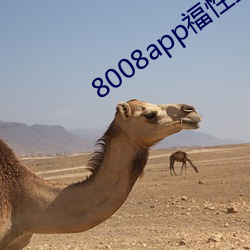 8008app福性宝app