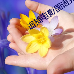 追捕電影國語完整版在線觀