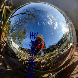 至尊神婿免費全文閱讀完整版