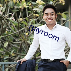 gayroom