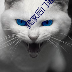 918博天堂·(中国)手机版客户端
