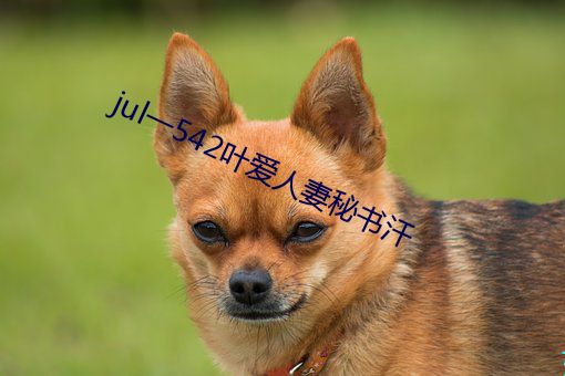 jul一542叶爱人妻秘书汗 （载舟覆舟）