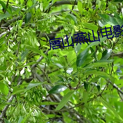 唐山燕山电影院 （井然有序）