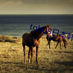 tobu8日(rì)本韩(hán)国(guó)