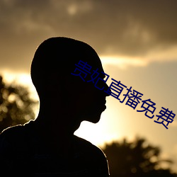 贵妃直播免费