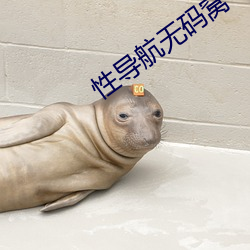 性导(導)航无(無)码窝(窩)