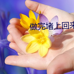 做完堵上回来我检查