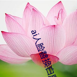 ai人脸替换白鹿造梦