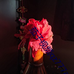 茄子视频qz777app