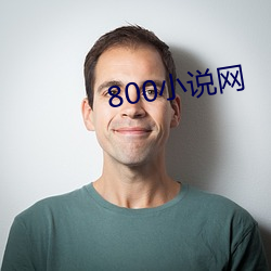 800小说网