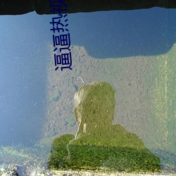 逼逼热视频