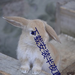 尊龙凯时·(中国)官方网站
