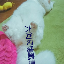 ca88手机客户端(安卓/苹果)CA88会员登录入口