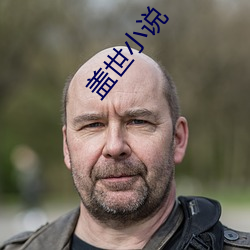 蓋世小說