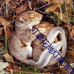 灯草花尚灯高清国语版下载