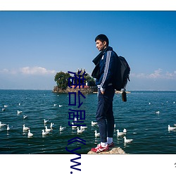 港台剧《yw.193.coc龙物永不失联》免费播放HD完整版 （归还）