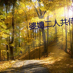 婆媳(媳)二人(人)共侍(侍)一夫