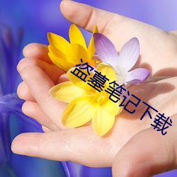 盗(盜)墓笔记下载