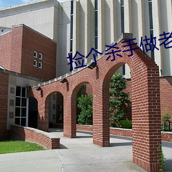 捡个杀手做(zuò)老婆