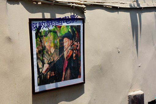 家(jiā)教韩国(guó)电(diàn)影