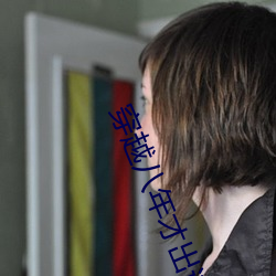 穿越八年(nián)才(cái)出道(dào)
