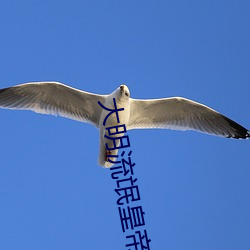 大明流氓皇帝