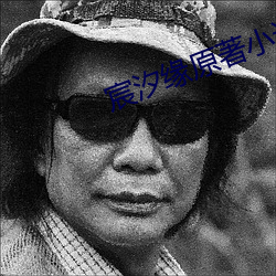 宸汐緣原著小說