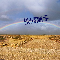 校园高手