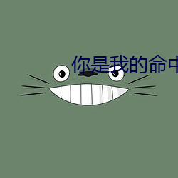 你是我的命中注定免費播放