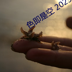 色即是空(kōng) 2023