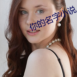 你的名字小说 （围裙）