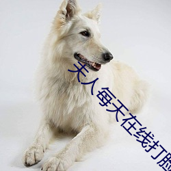 夫人每天在線打臉