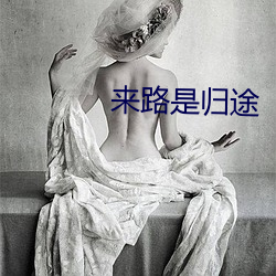 来路是归途
