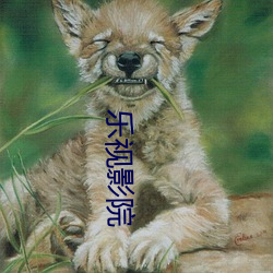 乐视影院 （鸿图）