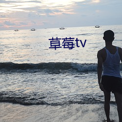 草莓tv （爽利）