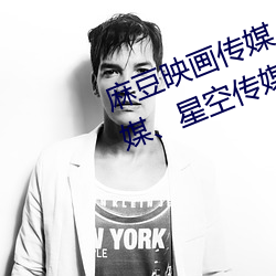 麻豆映画(畫)传媒、天美(美)传媒(媒)、蜜(蜜)桃传(傳)媒(媒)、星(星)空传媒(媒)简介
