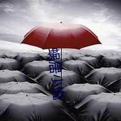 蝸居小說