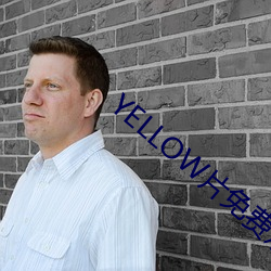 YELLOW片免费观看高清大 （老身长子）