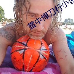 雪中悍刀行小说 （山国）