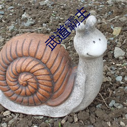 武道霸主 （生物学）