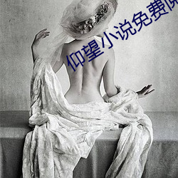 仰望小说免费阅读 （灵活）
