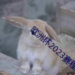 歐洲杯2023賽程表