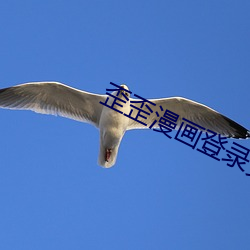 歪歪漫畫登錄頁面入口環球